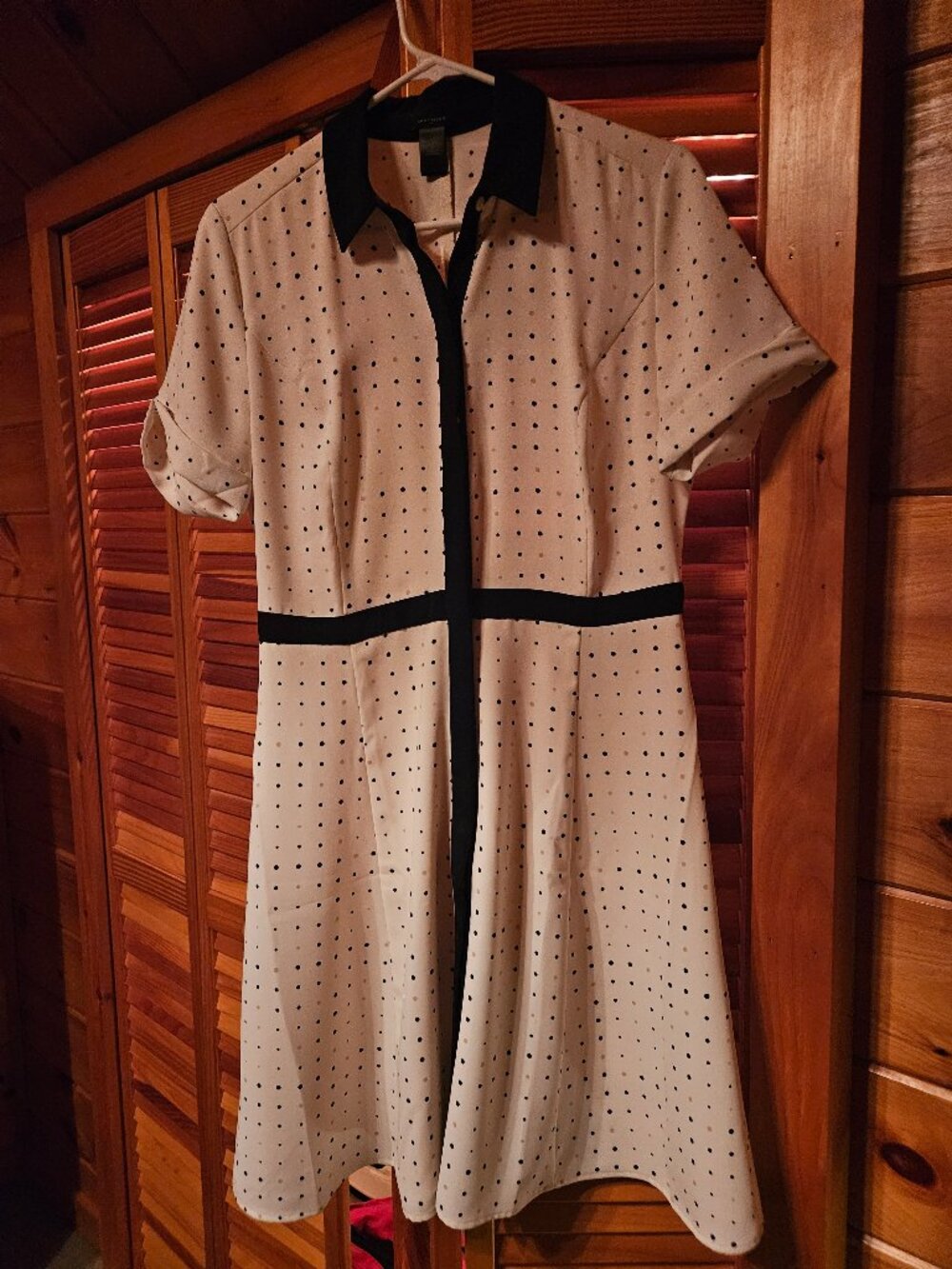 Ann Taylor Factory Polka Dot Dress